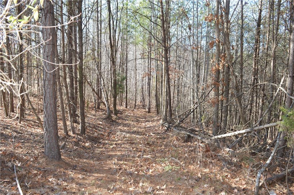 20.34-acres Beasley School Road Sandy Ridge, NC 27046 - Photo 9 of 19