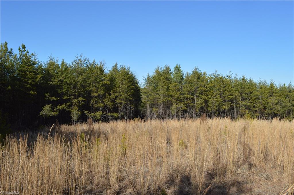 20.34-acres Beasley School Road Sandy Ridge, NC 27046 - Photo 10 of 19