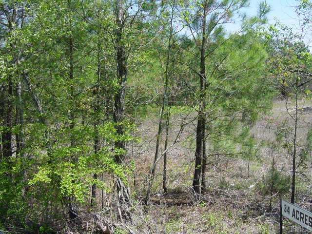 5 Raynor McLamb Road, Unit 5 Bunnlevel, NC 28323 - Photo 1 of 2 Gallery Image 1