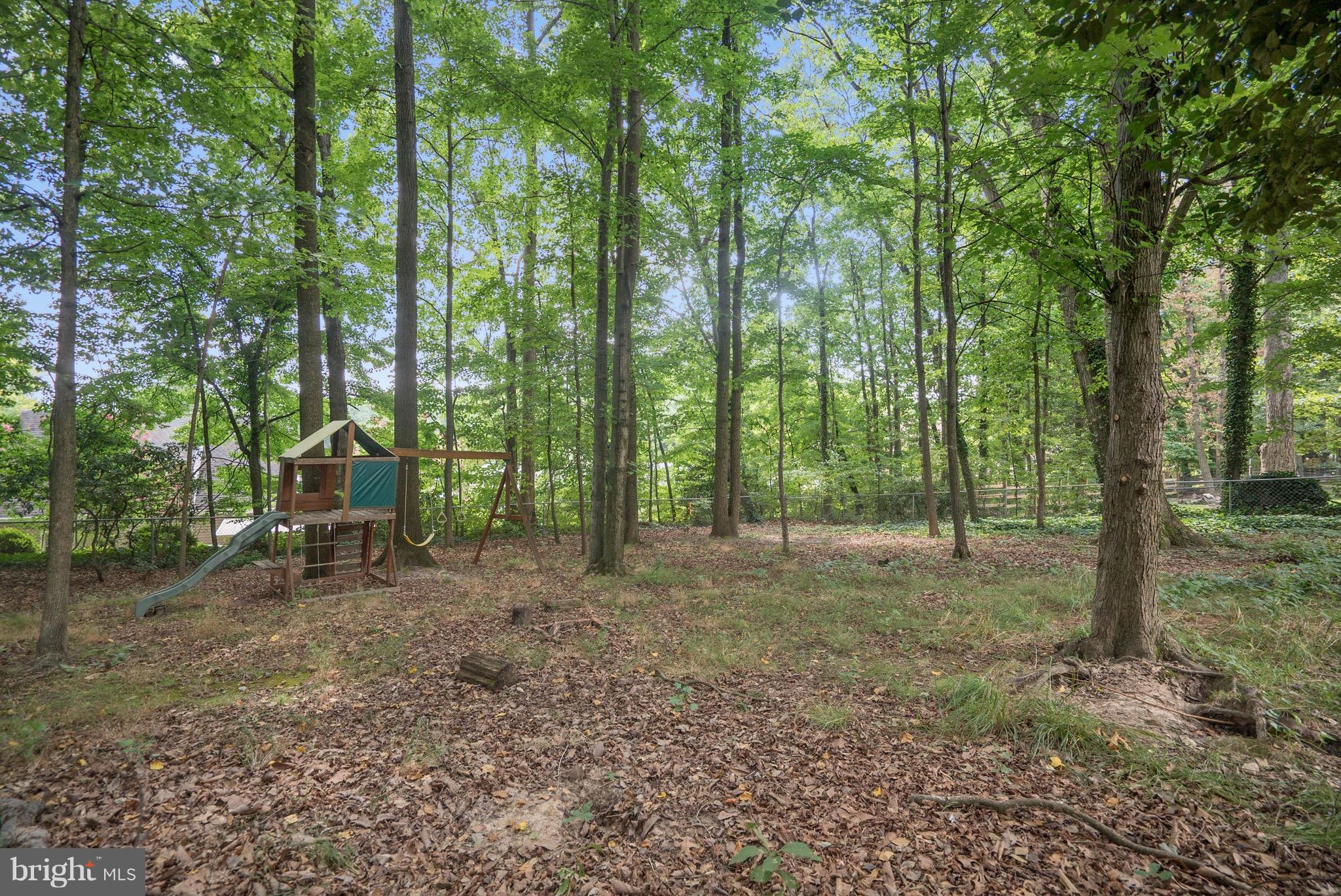 6928 Sydenstricker Road Springfield, VA 22153 - Photo 29 of 30 a view of a forest with trees in the background