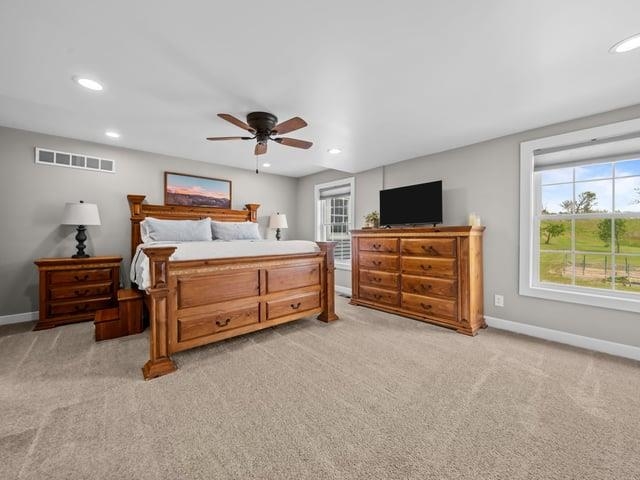 8294 North Leaf River Road Leaf River, IL 61047 - Photo 38 of 56 a bedroom with a bed and a tv