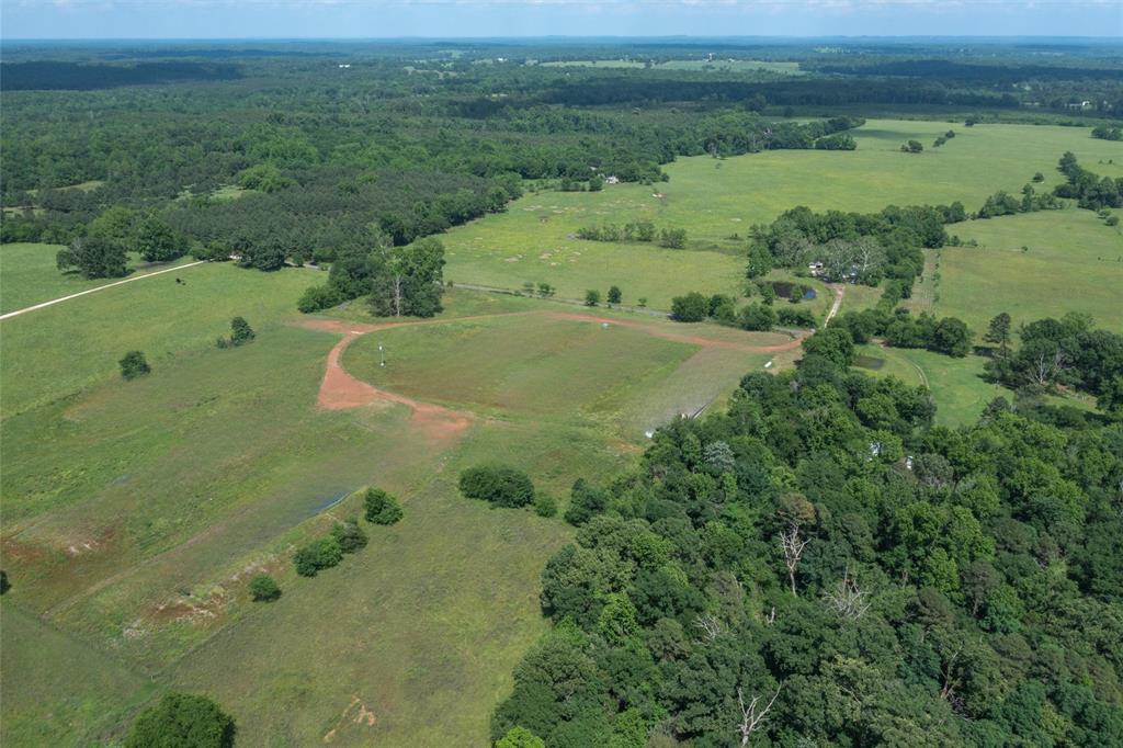 an aerial view of a houses with outdoor space and trees