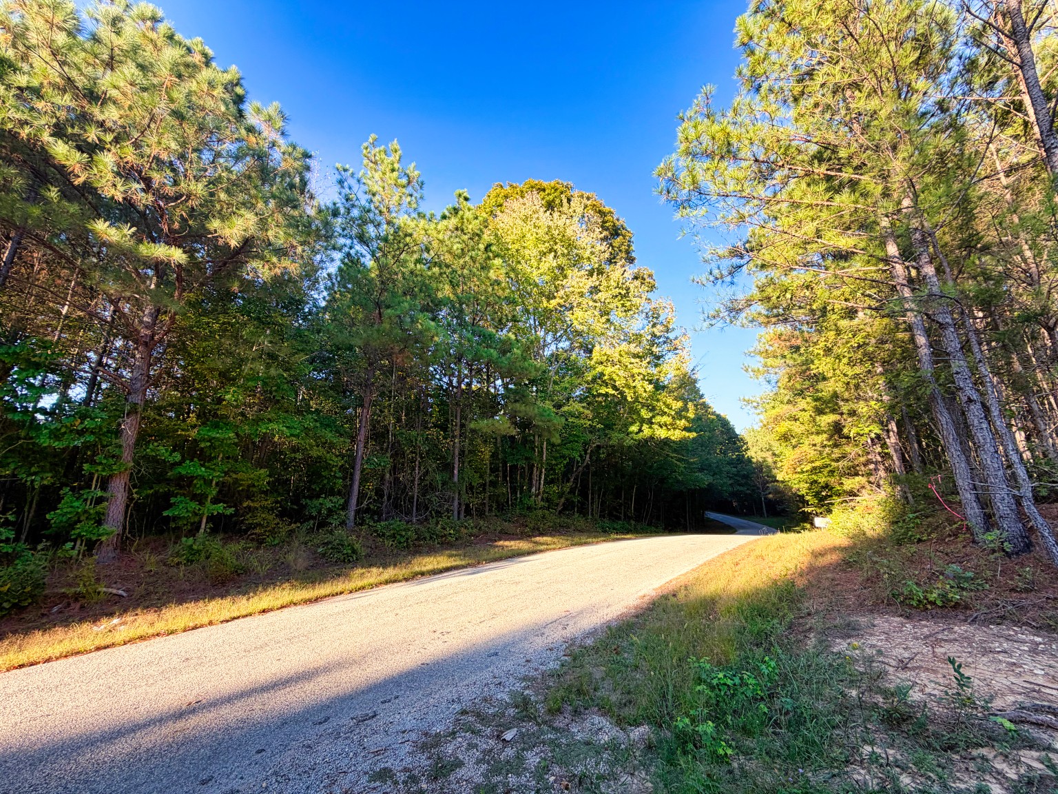 0 Williams Grove Road Camden, TN 38320 - Photo 13 of 38 Gallery Image 13