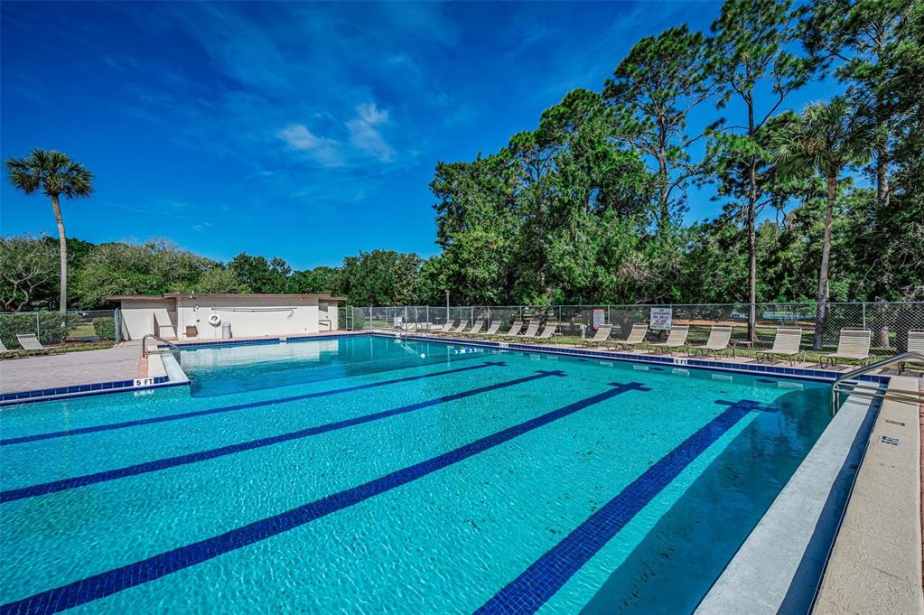 520 Sandy Hook Road Palm Harbor, FL 34683 - Photo 65 of 76