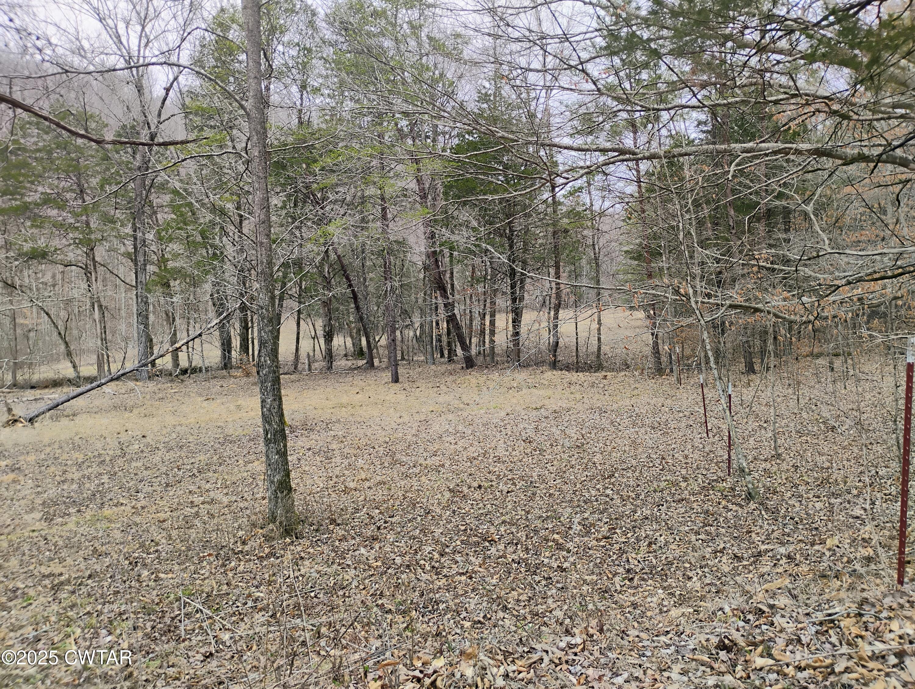 562 Sewell Branch Road Clifton, TN 38425 - Photo 2 of 11 IMG_20250307_123331482_HDR_AE