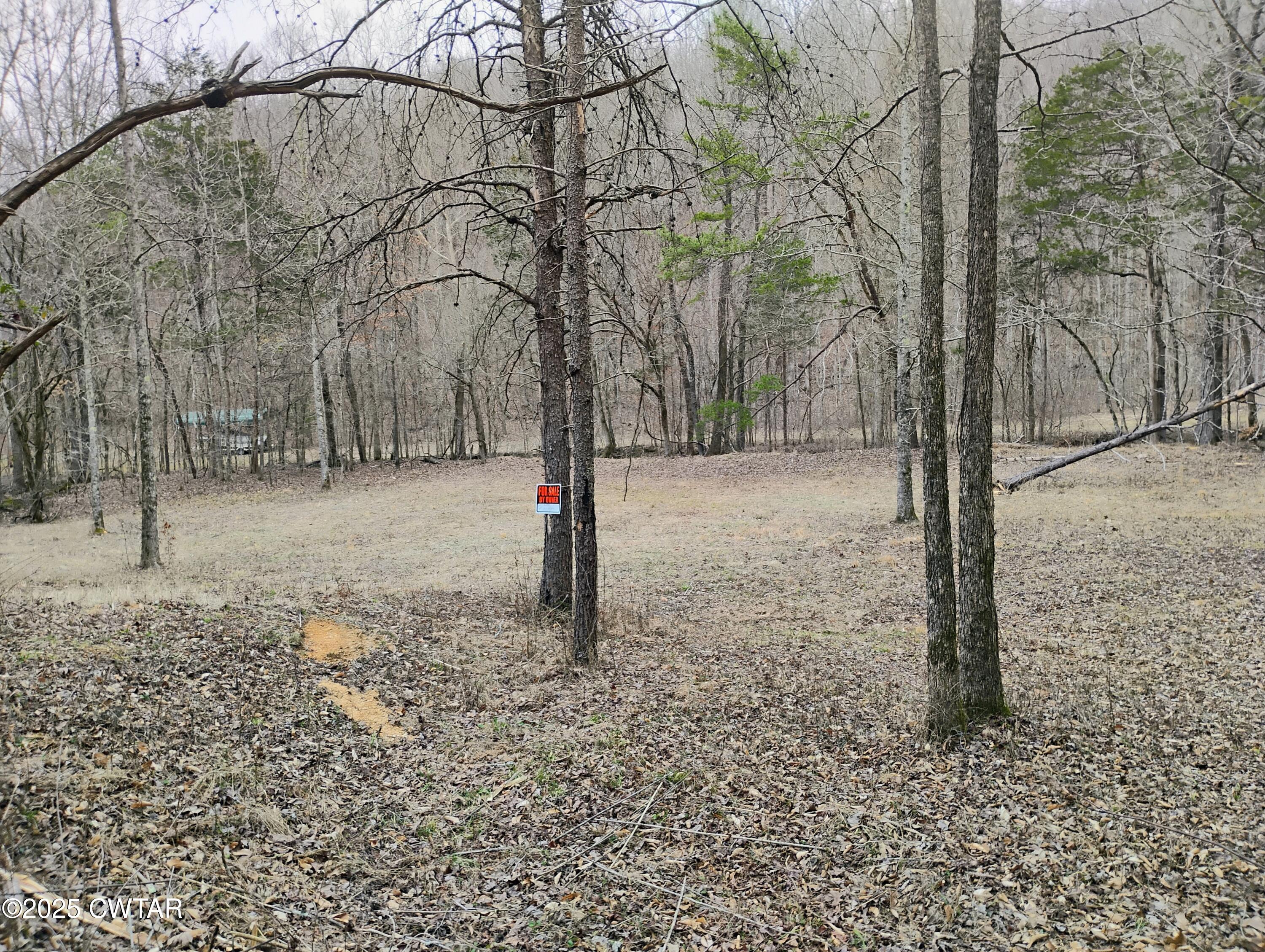 562 Sewell Branch Road Clifton, TN 38425 - Photo 3 of 11 IMG_20250307_123342380_HDR_AE