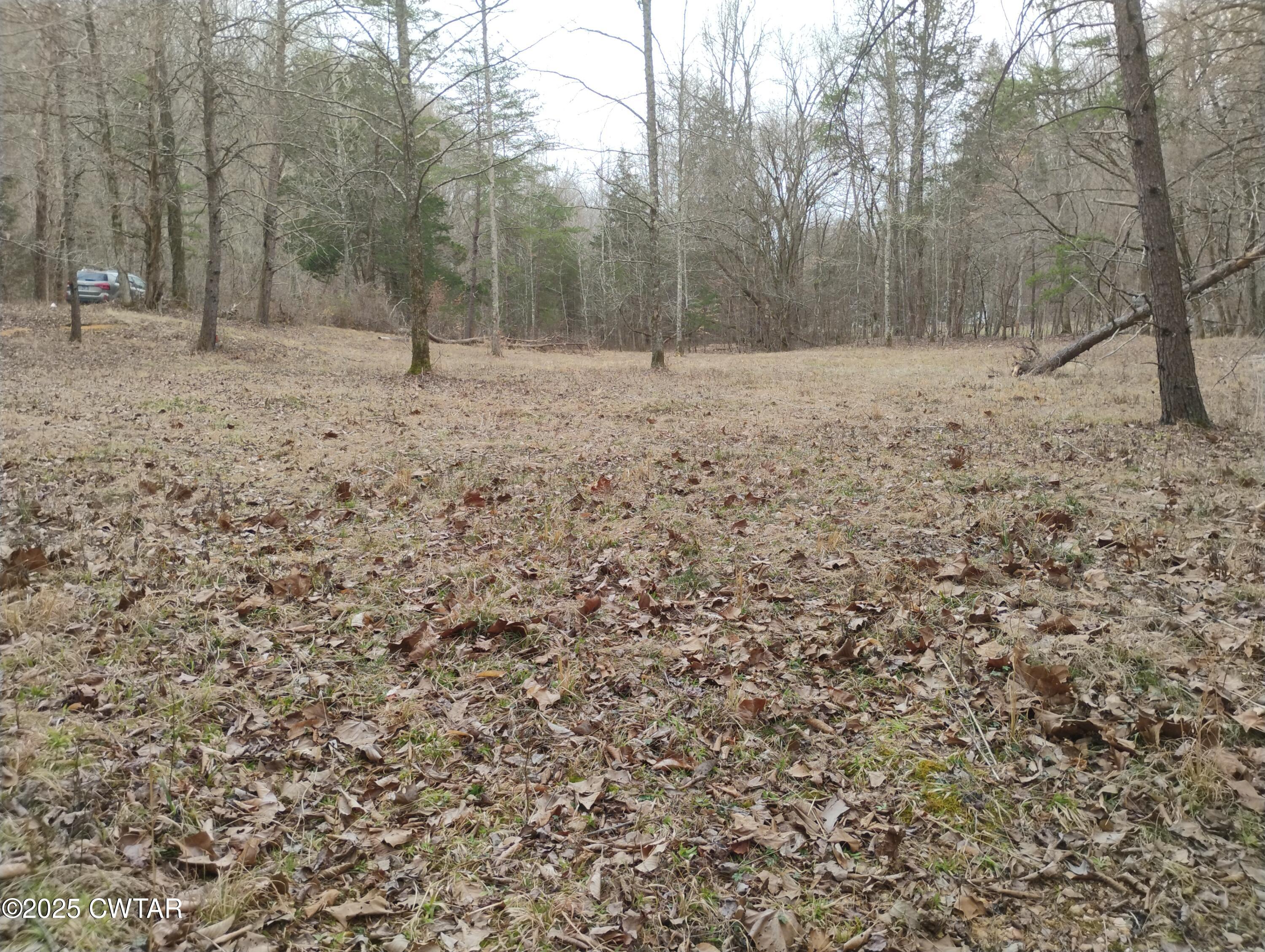 562 Sewell Branch Road Clifton, TN 38425 - Photo 4 of 11 IMG_20250307_123519776