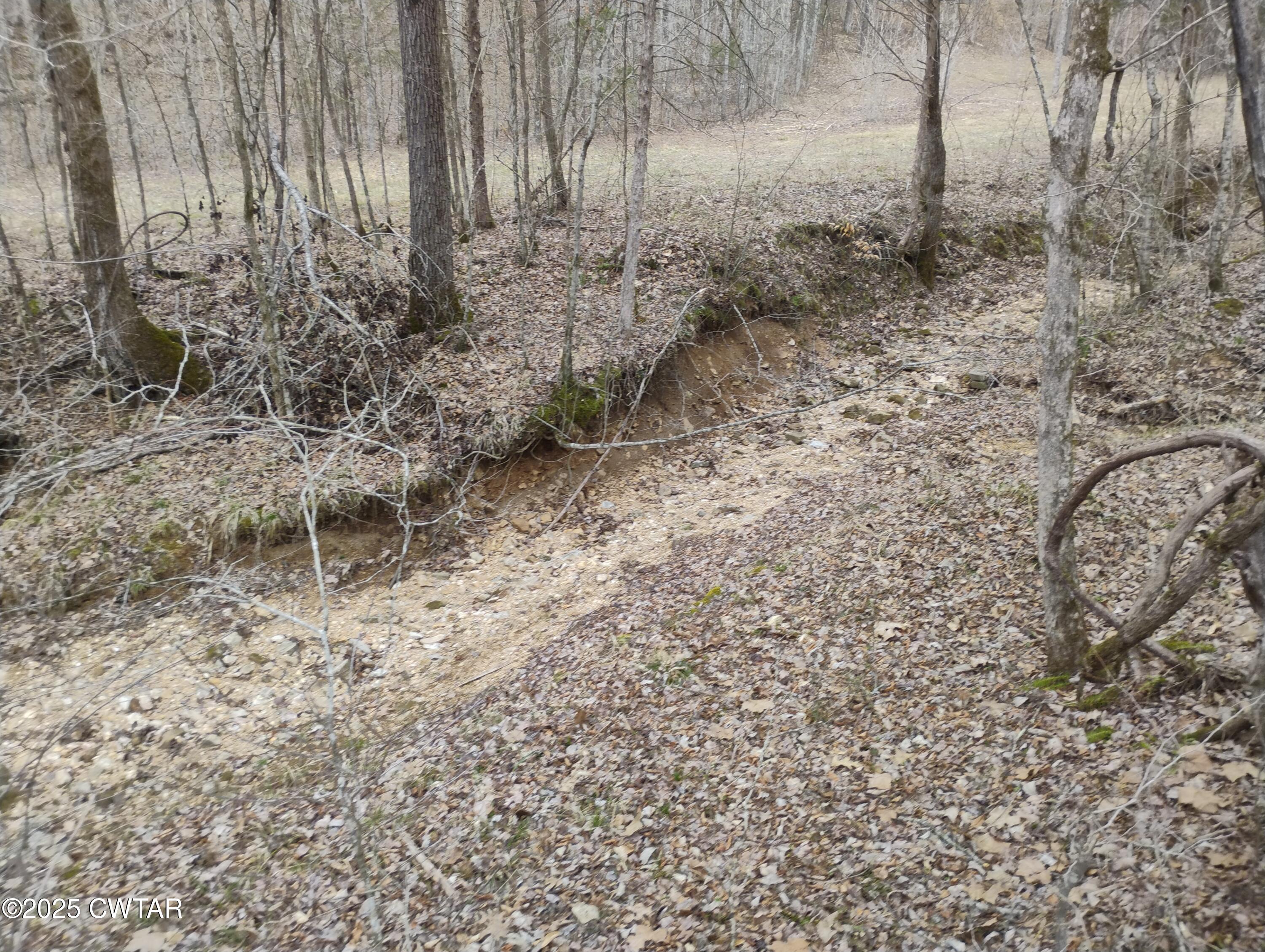 562 Sewell Branch Road Clifton, TN 38425 - Photo 5 of 11 IMG_20250307_123622255