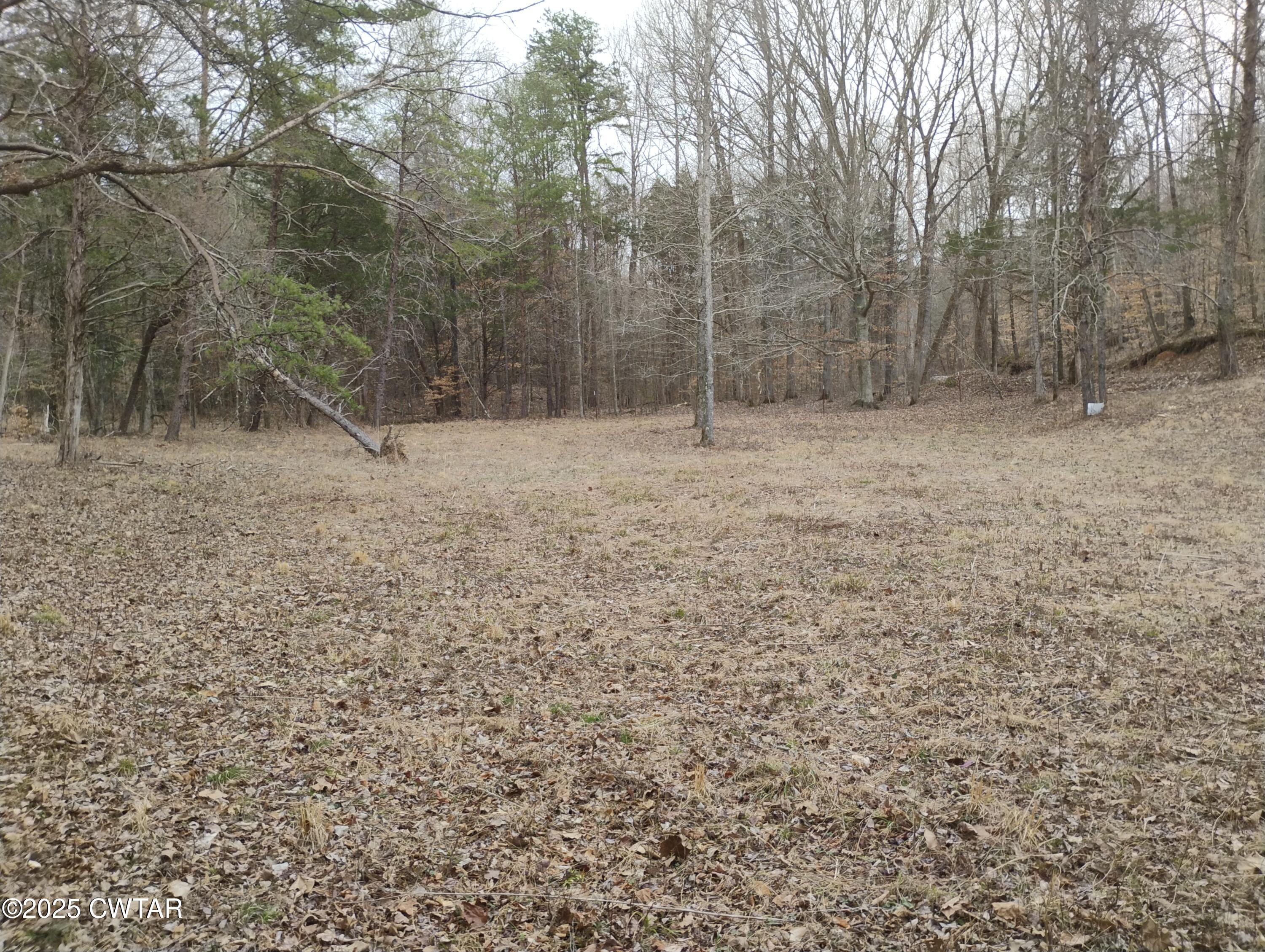 562 Sewell Branch Road Clifton, TN 38425 - Photo 6 of 11 IMG_20250307_123647970