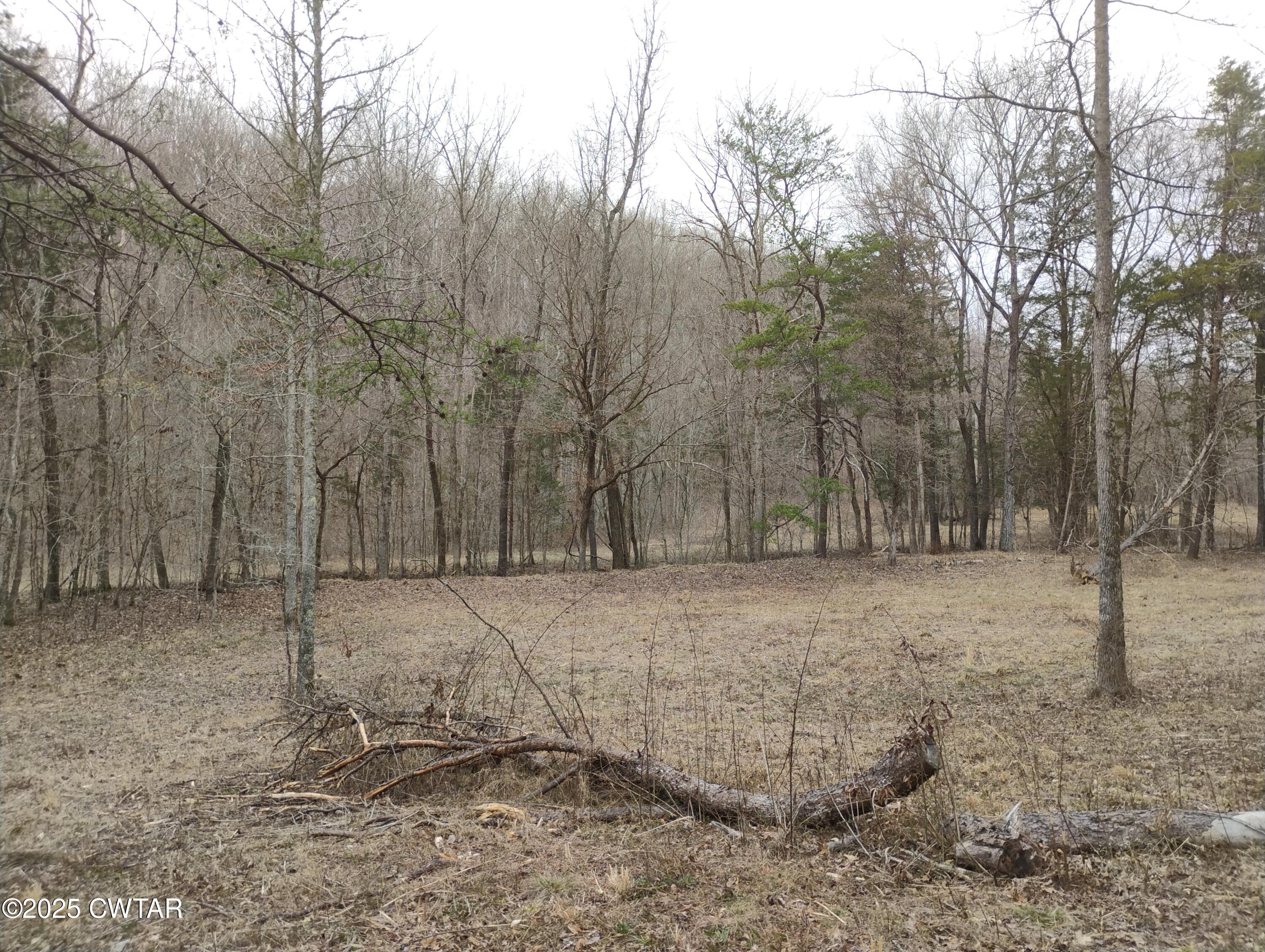 562 Sewell Branch Road Clifton, TN 38425 - Photo 7 of 11 IMG_20250307_123740971