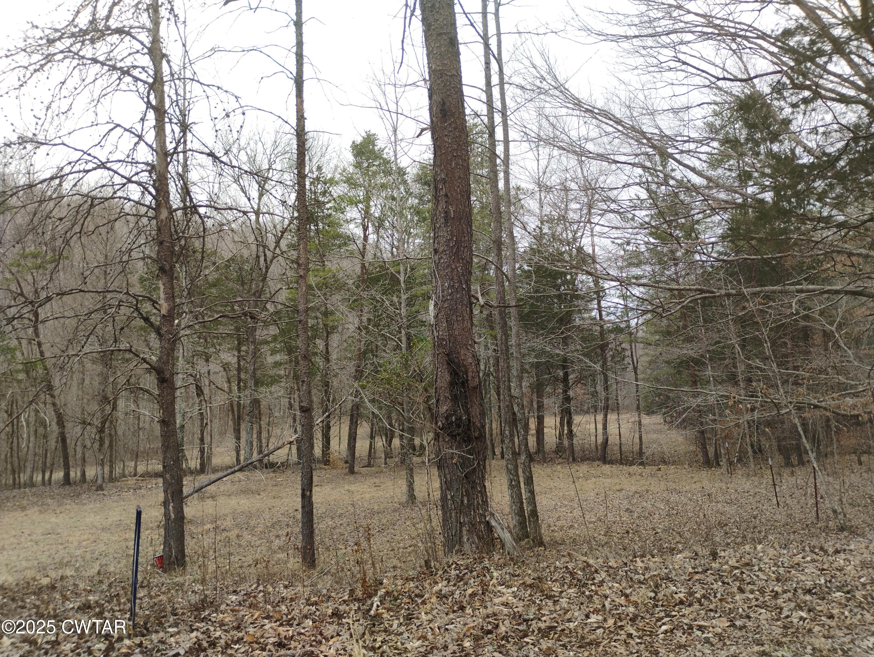 562 Sewell Branch Road Clifton, TN 38425 - Photo 9 of 11 IMG_20250307_123826345