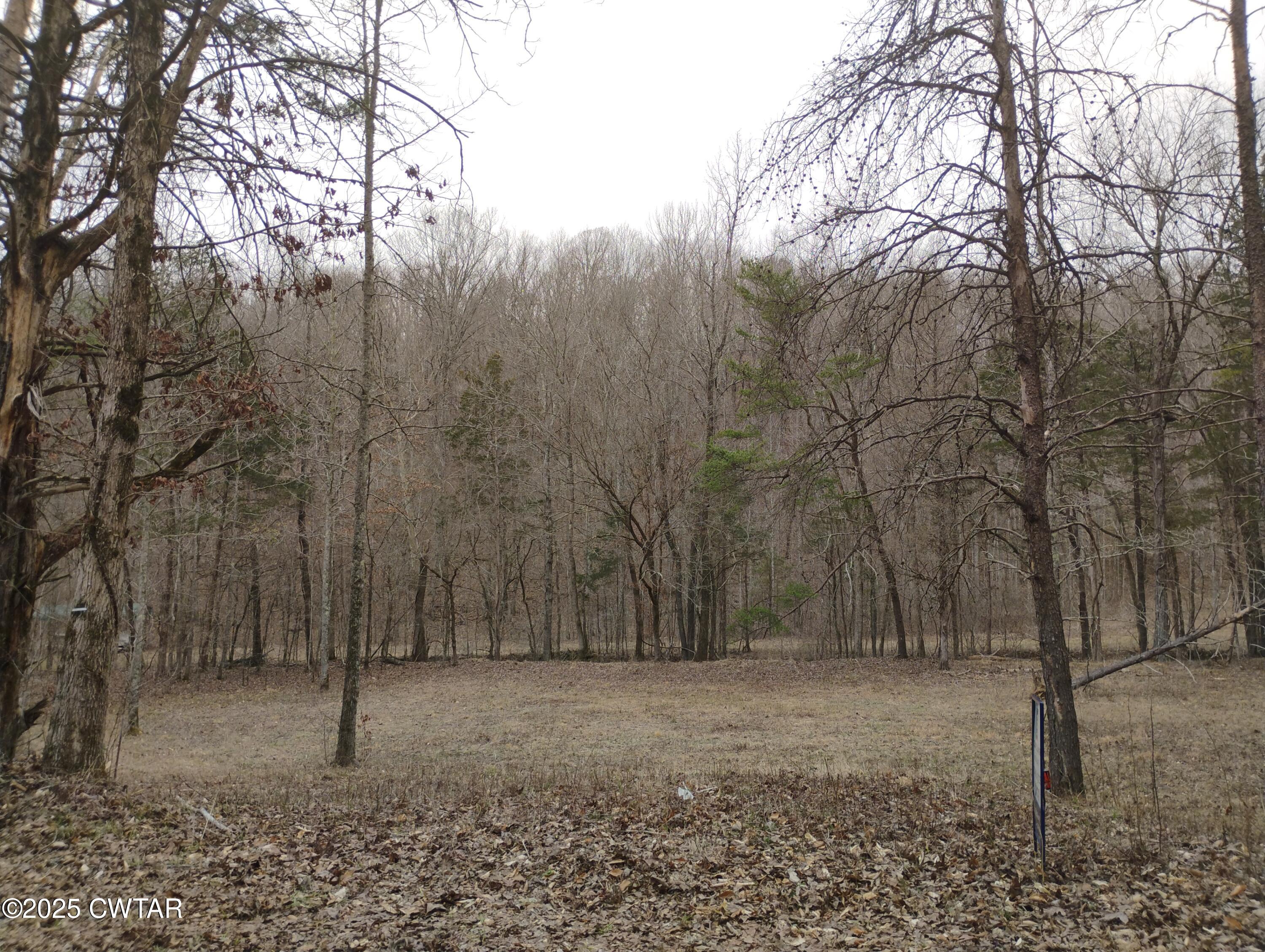 562 Sewell Branch Road Clifton, TN 38425 - Photo 10 of 11 IMG_20250307_123832871