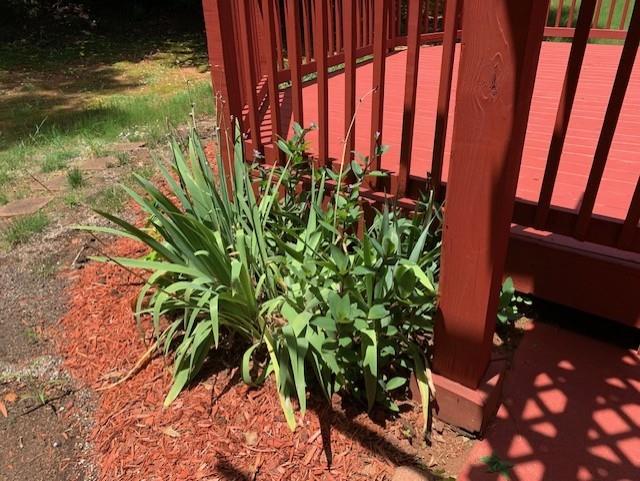 1835 Winding Crossing Trail Fairburn, GA 30213 - Photo 10 of 17
