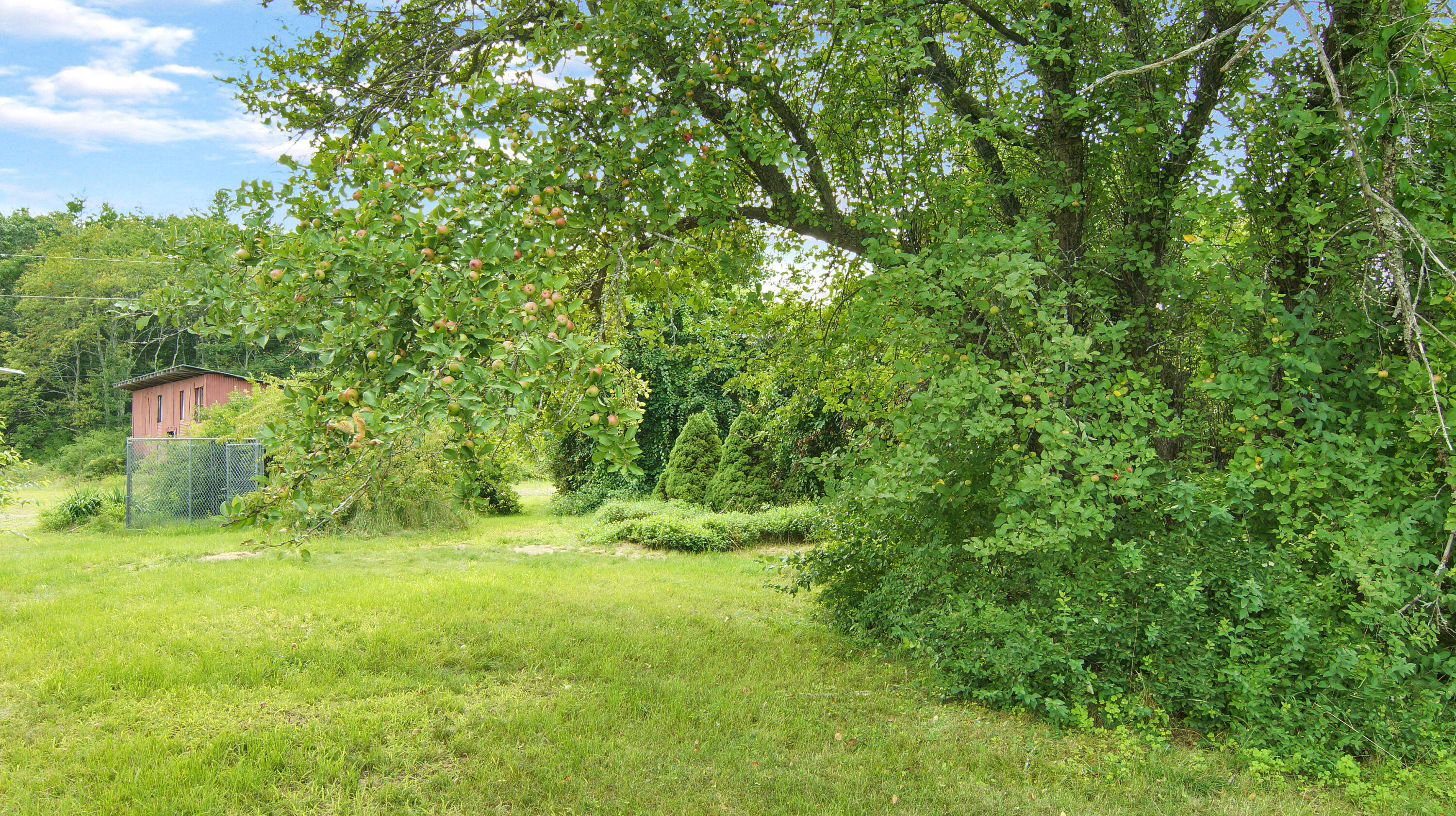 144 Gould Road Biddeford, ME 04005 - Photo 21 of 22 Yard_1