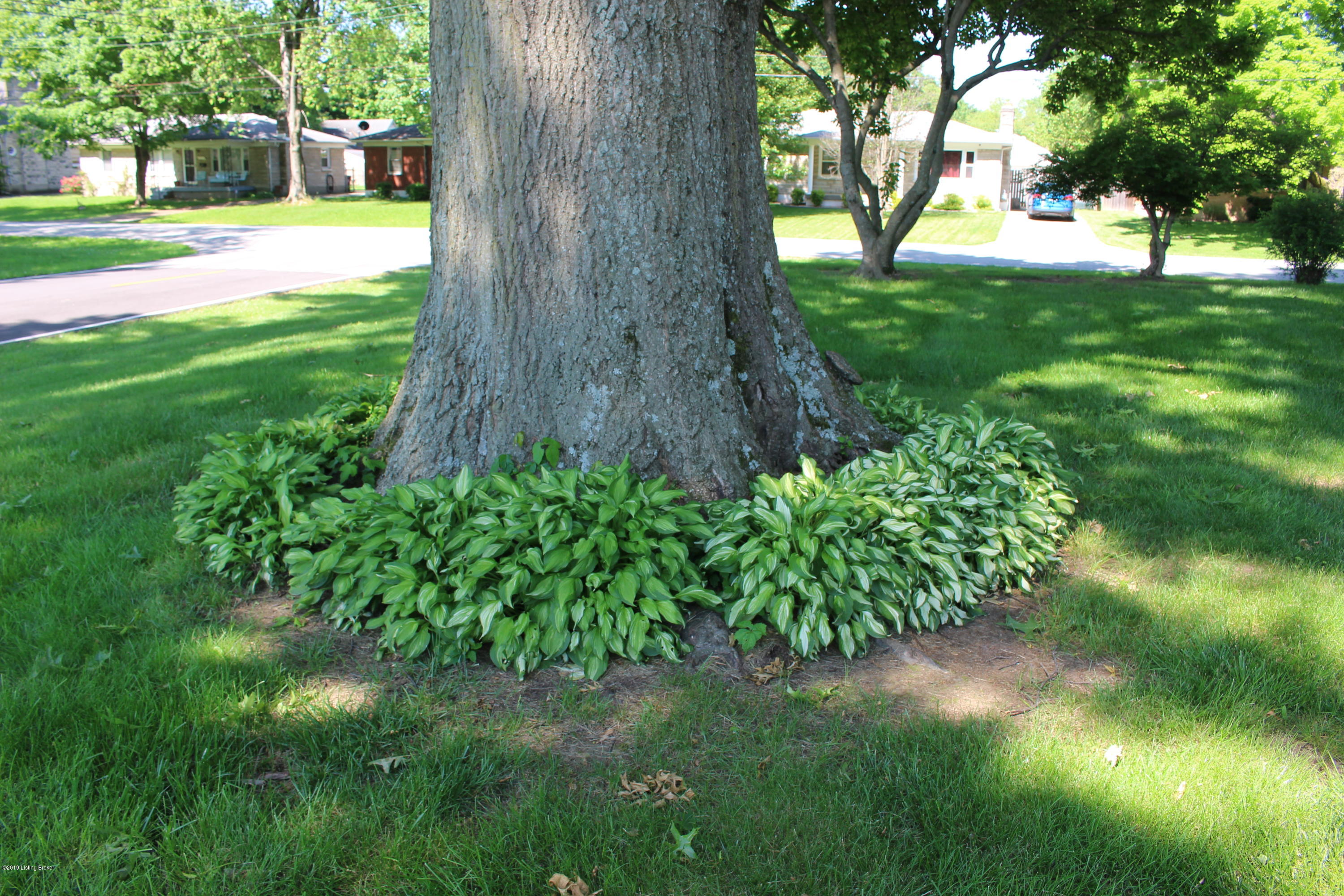 4401 Leeds Road Louisville, KY 40216 - Photo 22 of 25 Mature trees and neatly landscaped