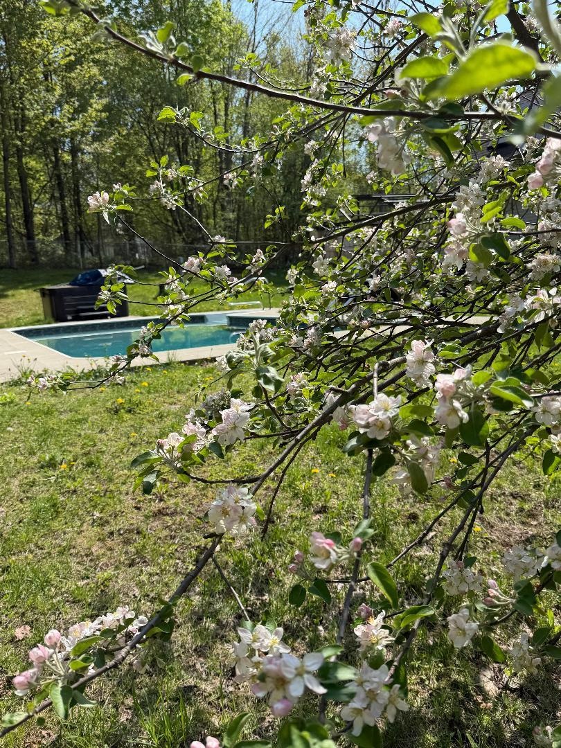 50 Gaudette Farm Road Fairfax, VT 05454 - Photo 14 of 19