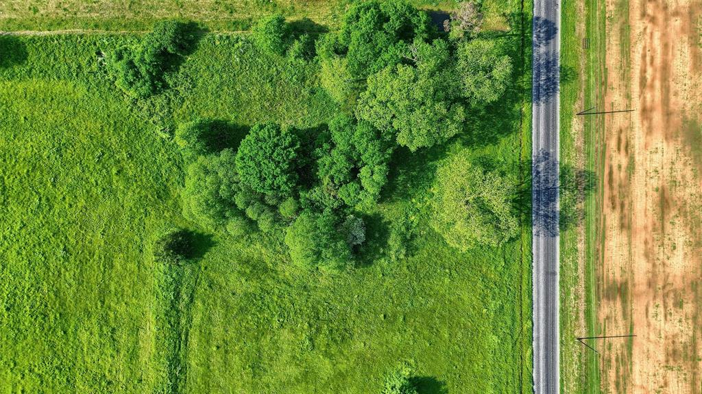 0 Carpenters Bluff Road Bells, TX 75414 - Photo 11 of 17 a view of a garden from a backyard