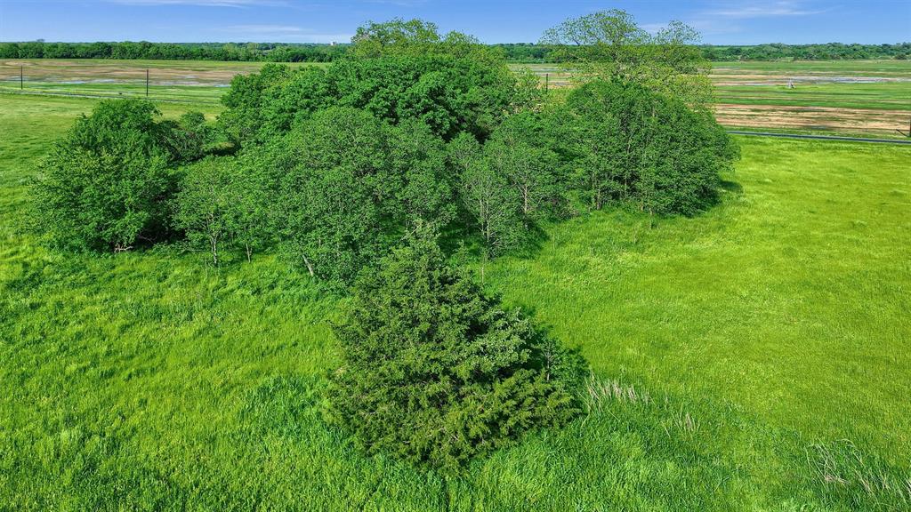 0 Carpenters Bluff Road Bells, TX 75414 - Photo 13 of 17 a view of a lush green space