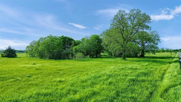 a view of a grassy field with trees