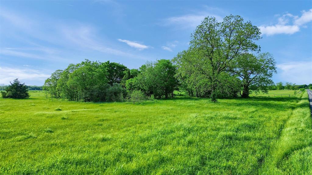 0 Carpenters Bluff Road Bells, TX 75414 - Photo 17 of 17 a view of a grassy field with trees