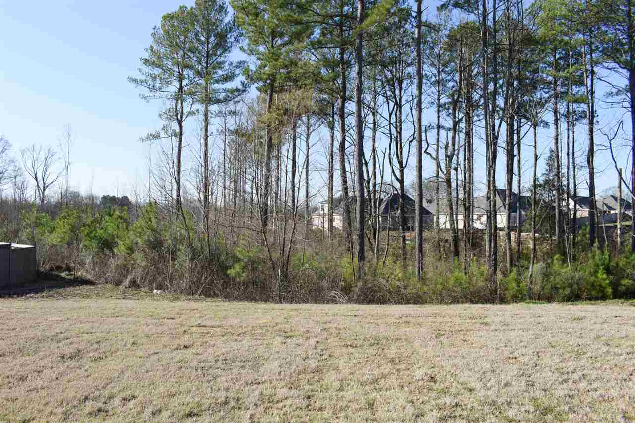 123 Freeland Lane Clinton, MS 39056 - Photo 32 of 32 Photo 32