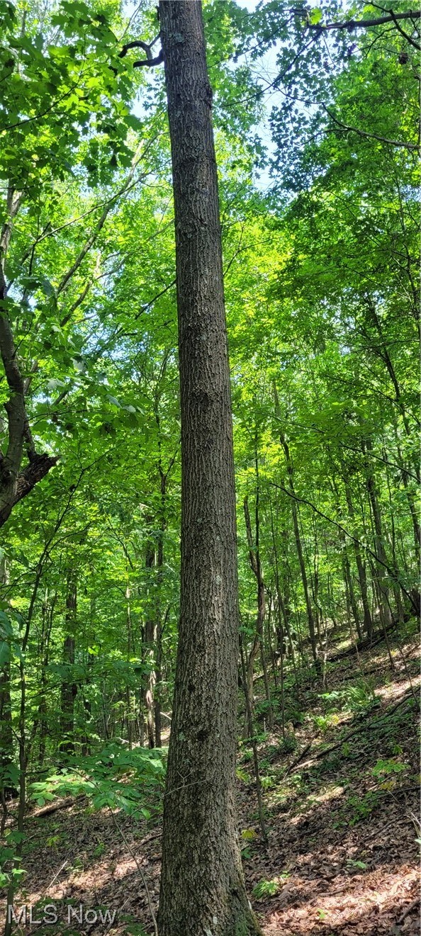 Southeast Edwards Ridge Road Southeast Uhrichsville, OH 44683 - Photo 28 of 34 Gallery Image 28