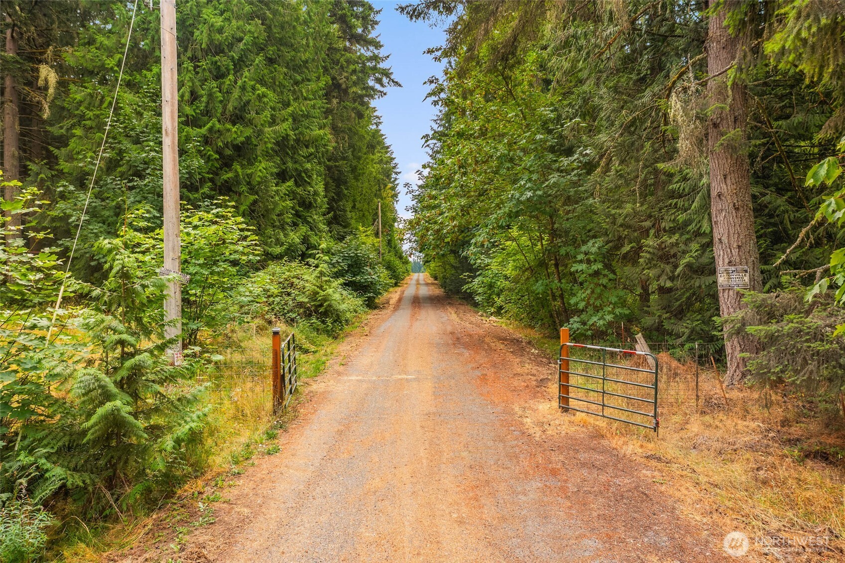 1716 304th Street East Roy, WA 98580 - Photo 15 of 21 a view of a pathway with a yard