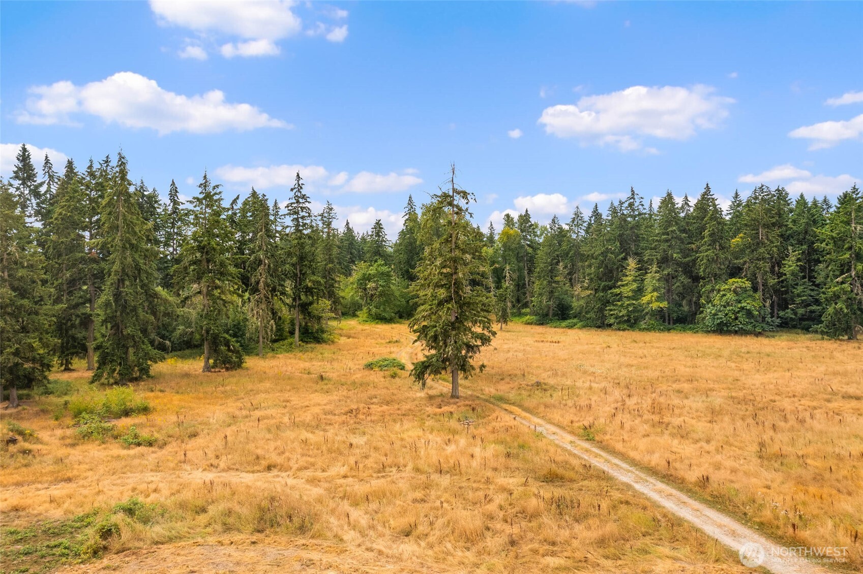 1716 304th Street East Roy, WA 98580 - Photo 21 of 21 a view of a snow yard and mountain