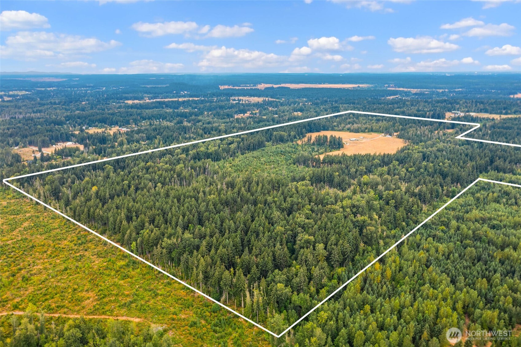 1716 304th Street East Roy, WA 98580 - Photo 3 of 21 a view of outdoor space with mountain view