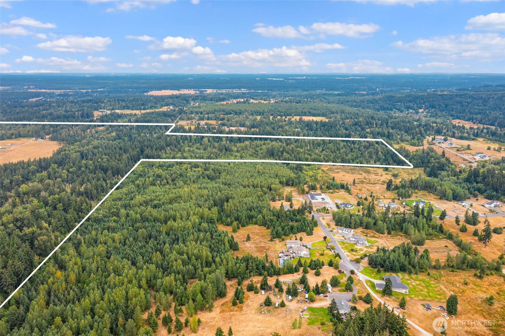 1716 304th Street East Roy, WA 98580 - Photo 4 of 21