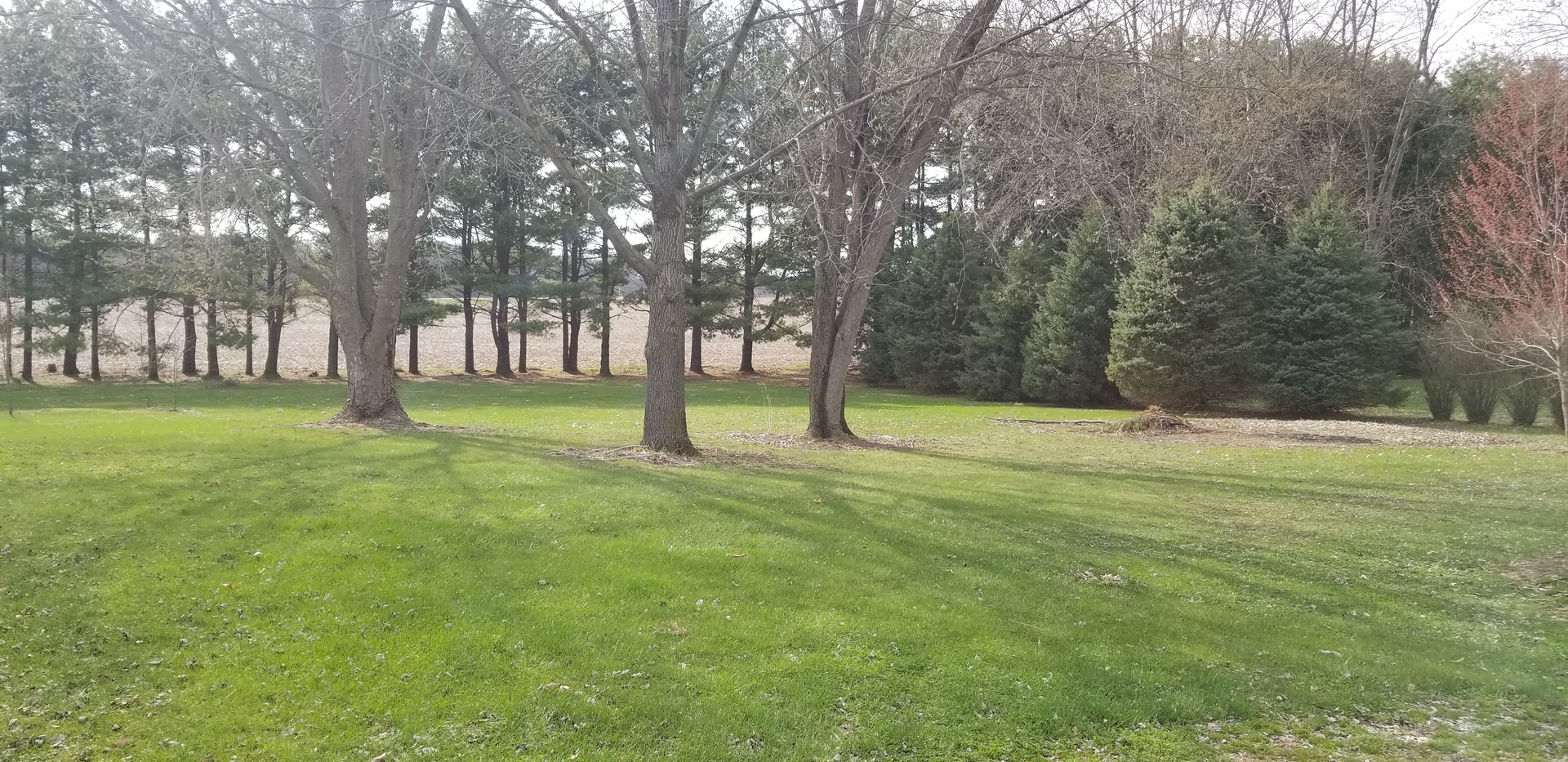 715 Searls Road Amboy, IL 61310 - Photo 11 of 11