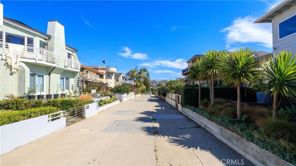 400 5th Street Manhattan Beach, CA 90266 - Photo 21 of 22 a view of a yard with plants and palm trees