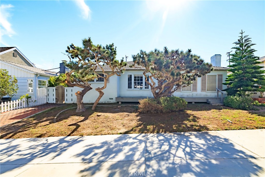 400 5th Street Manhattan Beach, CA 90266 - Photo 6 of 22 a view of a house with a tree in front of it