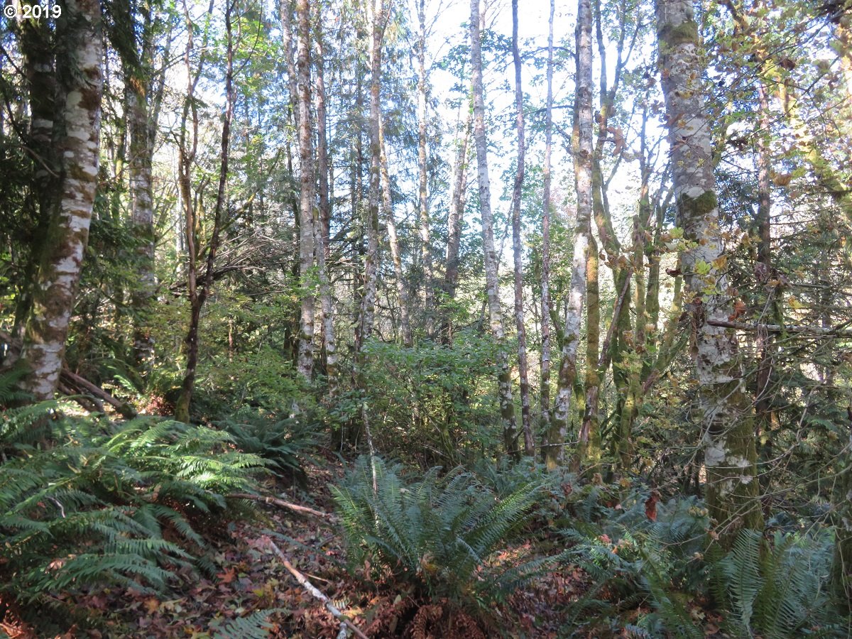 Monroe Road Winlock, WA 98596 - Photo 14 of 23