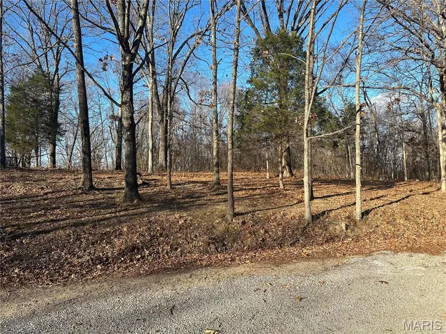 $45,000 | 34 Wagon Creek Loop, Creal Springs, IL 62922