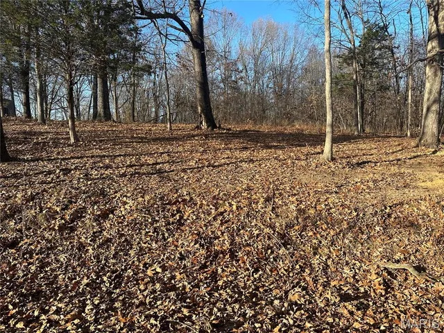 $45,000 | 34 Wagon Creek Loop, Creal Springs, IL 62922