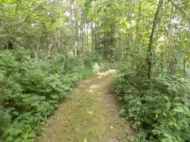 6243 Reid Road Swartz Creek, MI 48473 - Photo 78 of 98 21187519-78.JPG
