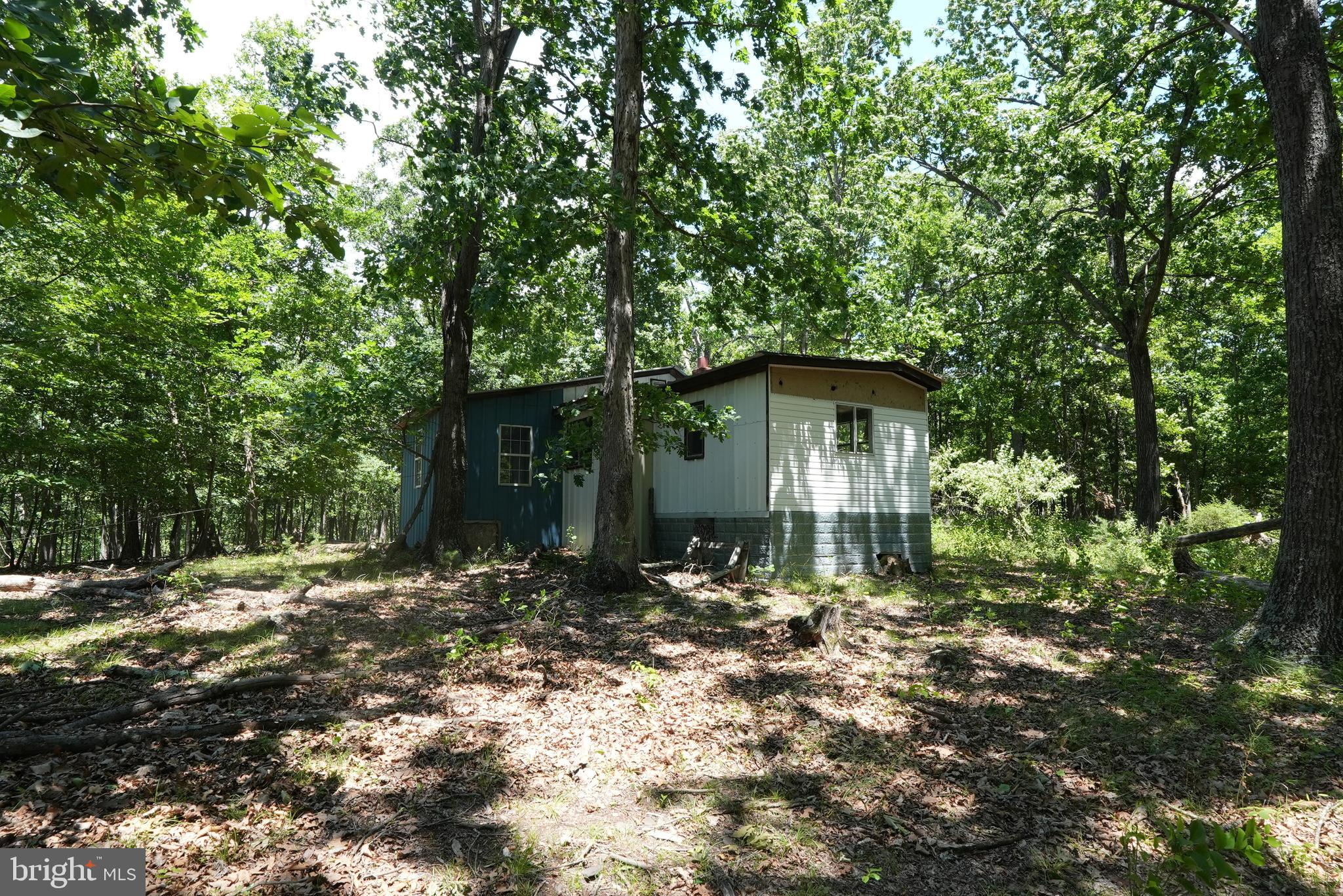 1917 South Timber Ridge Road Cross Junction, VA 22625 - Photo 5 of 19