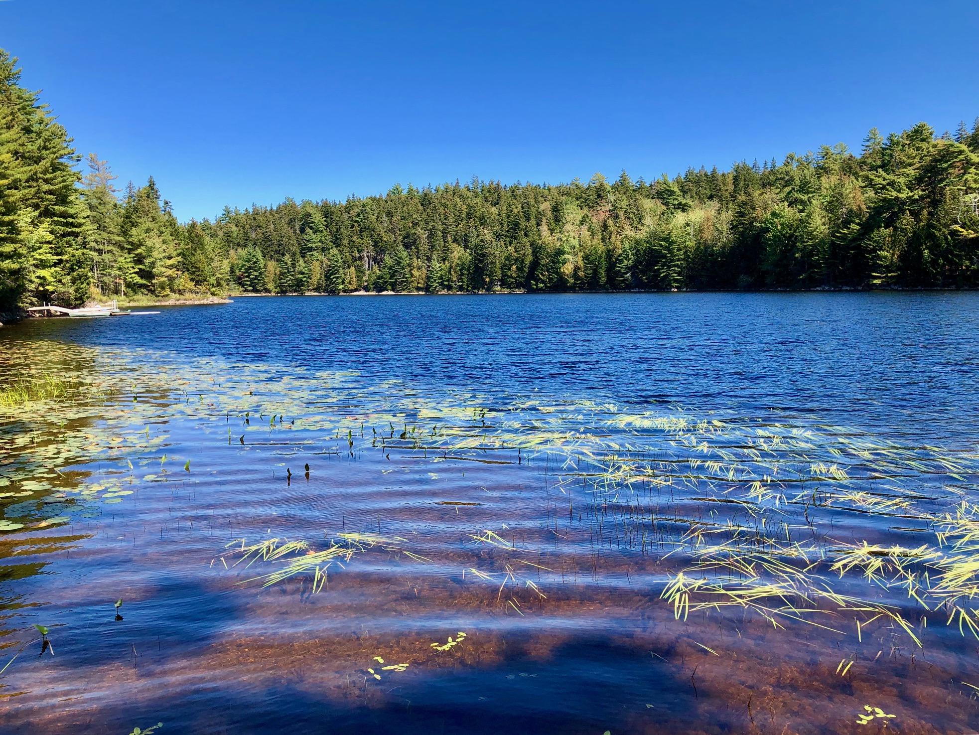 58 Daddy Johnny Road Tremont, ME 04674 - Photo 45 of 52 Hodgdon Pond