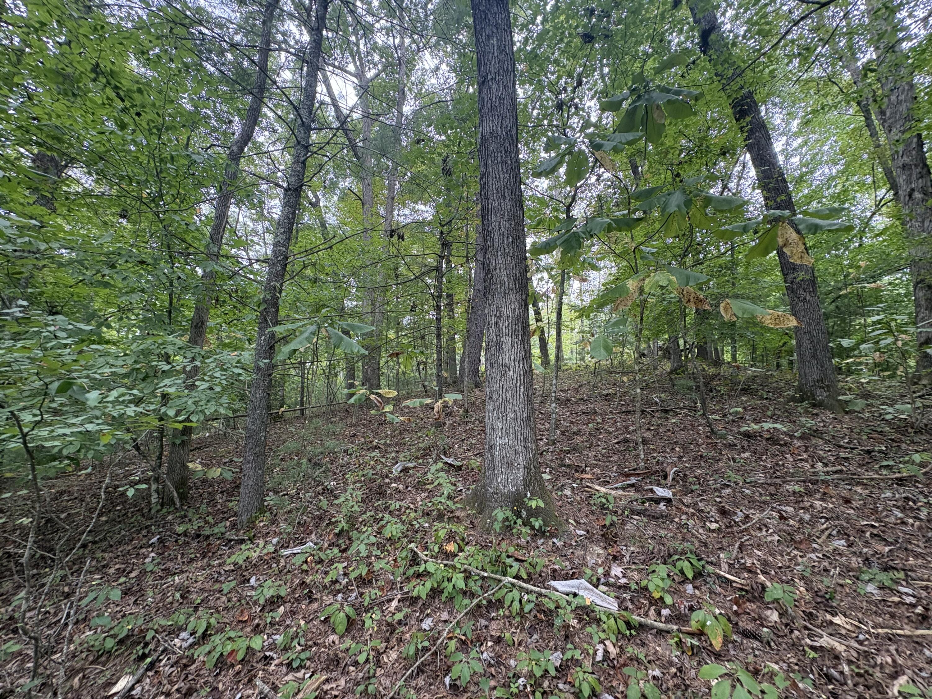 9 Fincastle Road, Unit LOT 9 Rogers, KY 41365 - Photo 7 of 11 IMG_4182