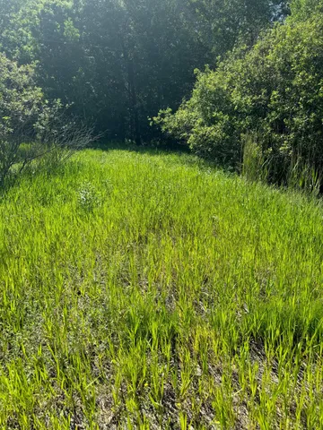 $39,800 | 29 County 29, Browerville, MN 56438