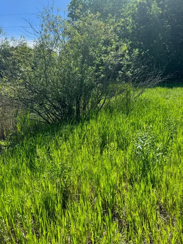 $39,800 | 29 County 29, Browerville, MN 56438