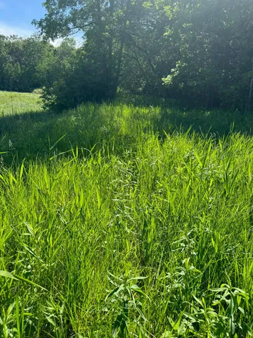 $39,800 | 29 County 29, Browerville, MN 56438