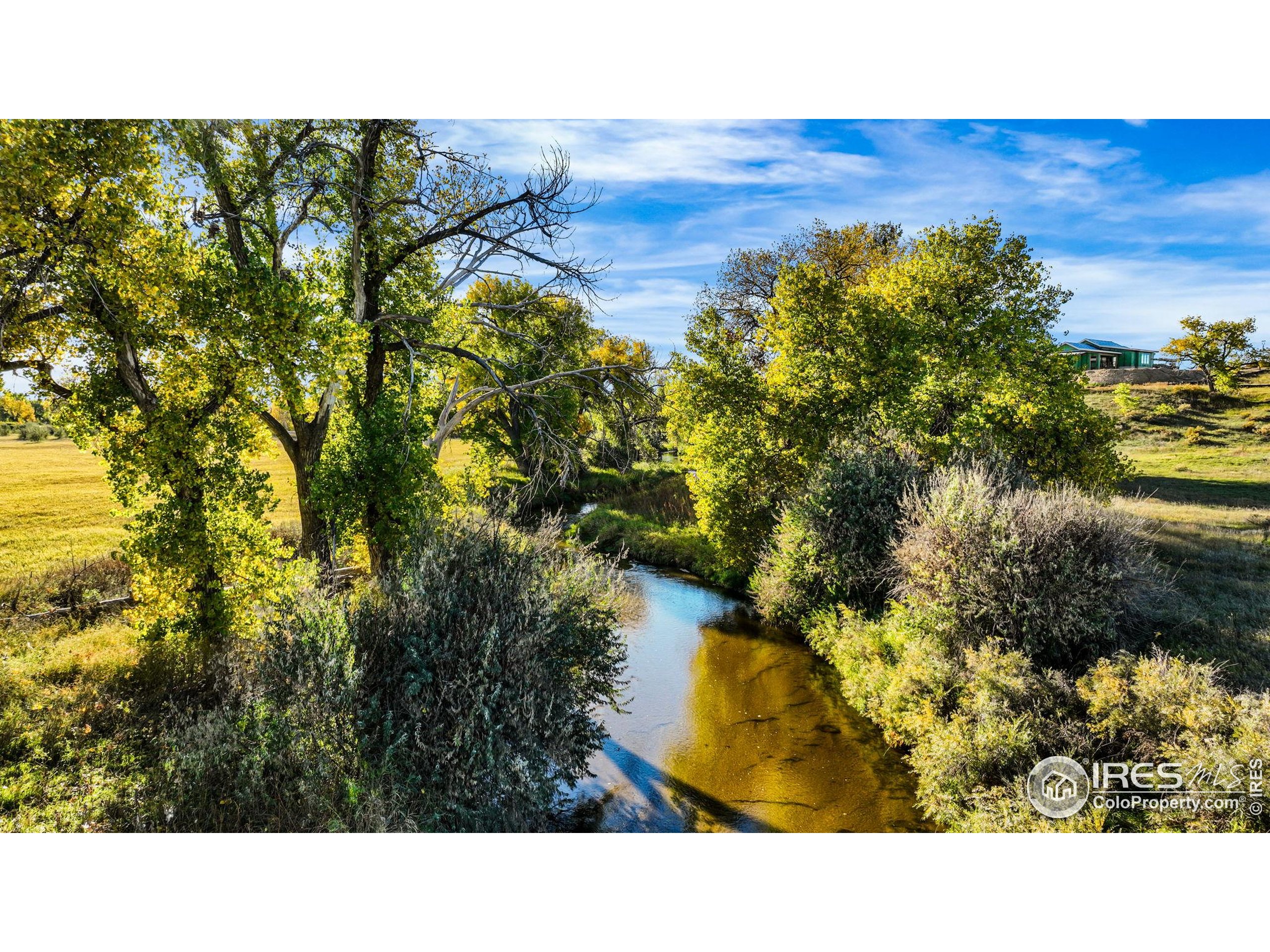 4229 Luchello Court Johnstown, CO 80534 - Photo 13 of 20 a black and white photo of a house