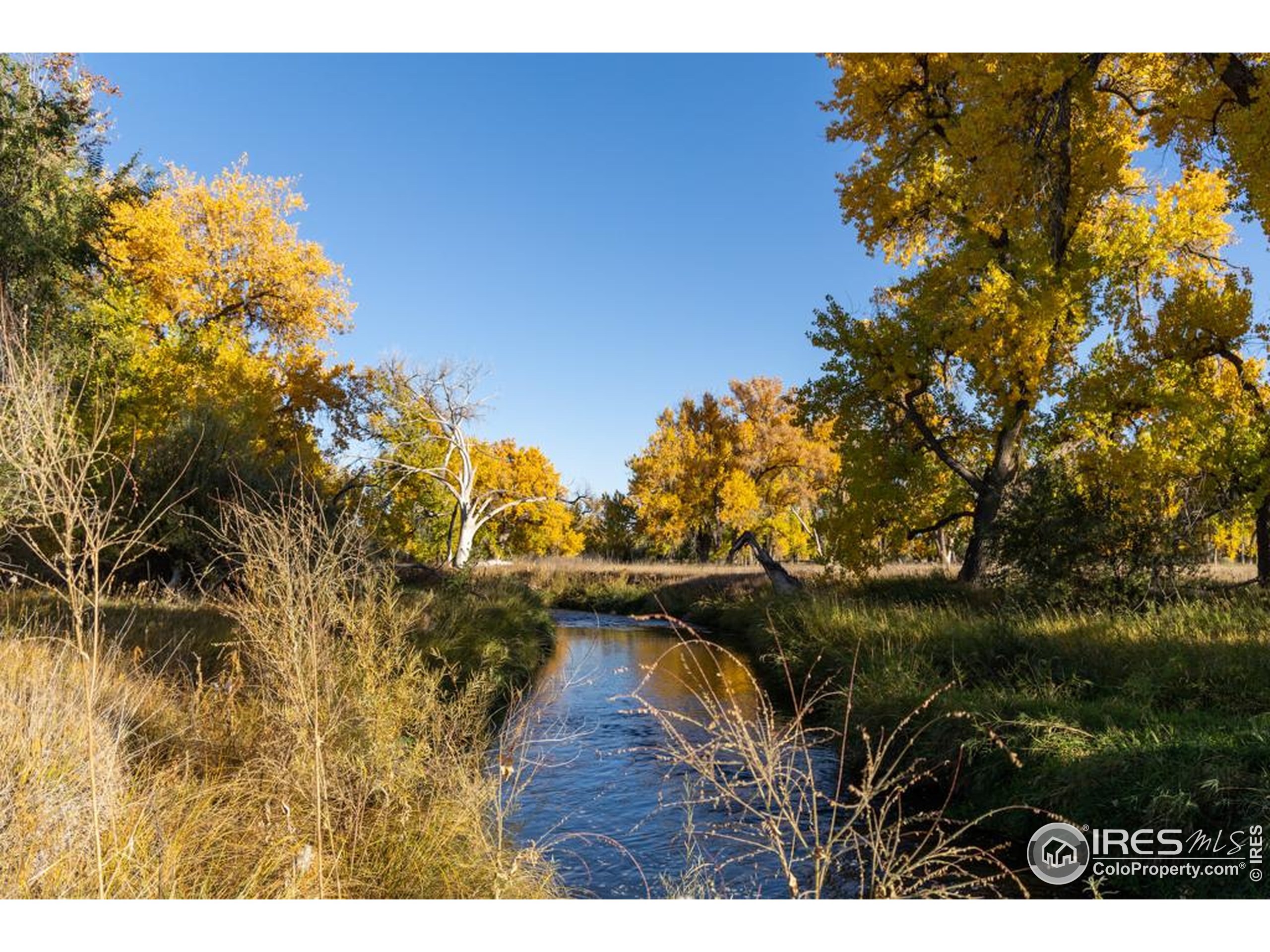 4229 Luchello Court Johnstown, CO 80534 - Photo 6 of 20 a view of swimming pool and lake
