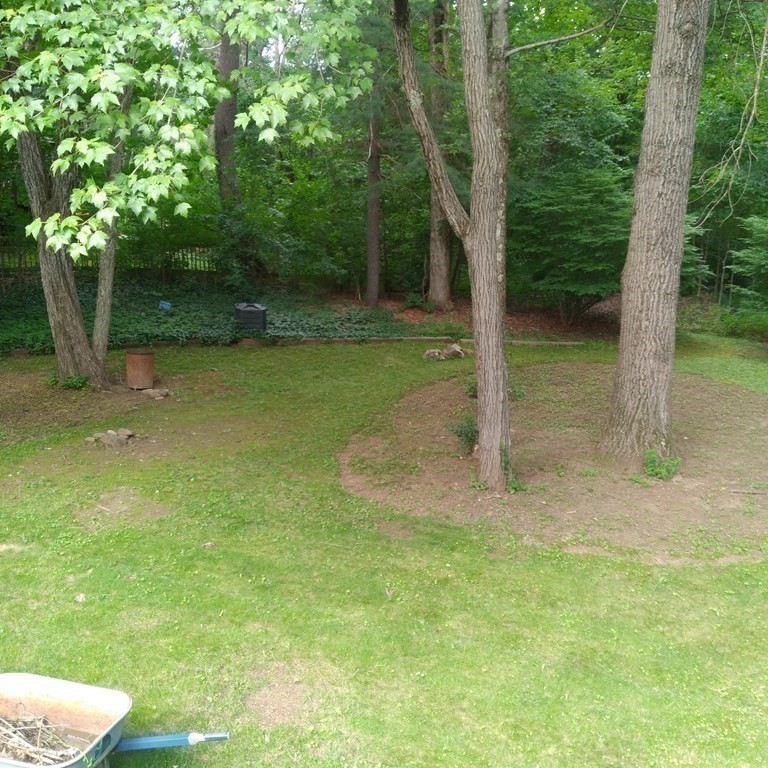 43 Apple Road Brimfield, MA 01010 - Photo 17 of 20 a view of a trees in a backyard
