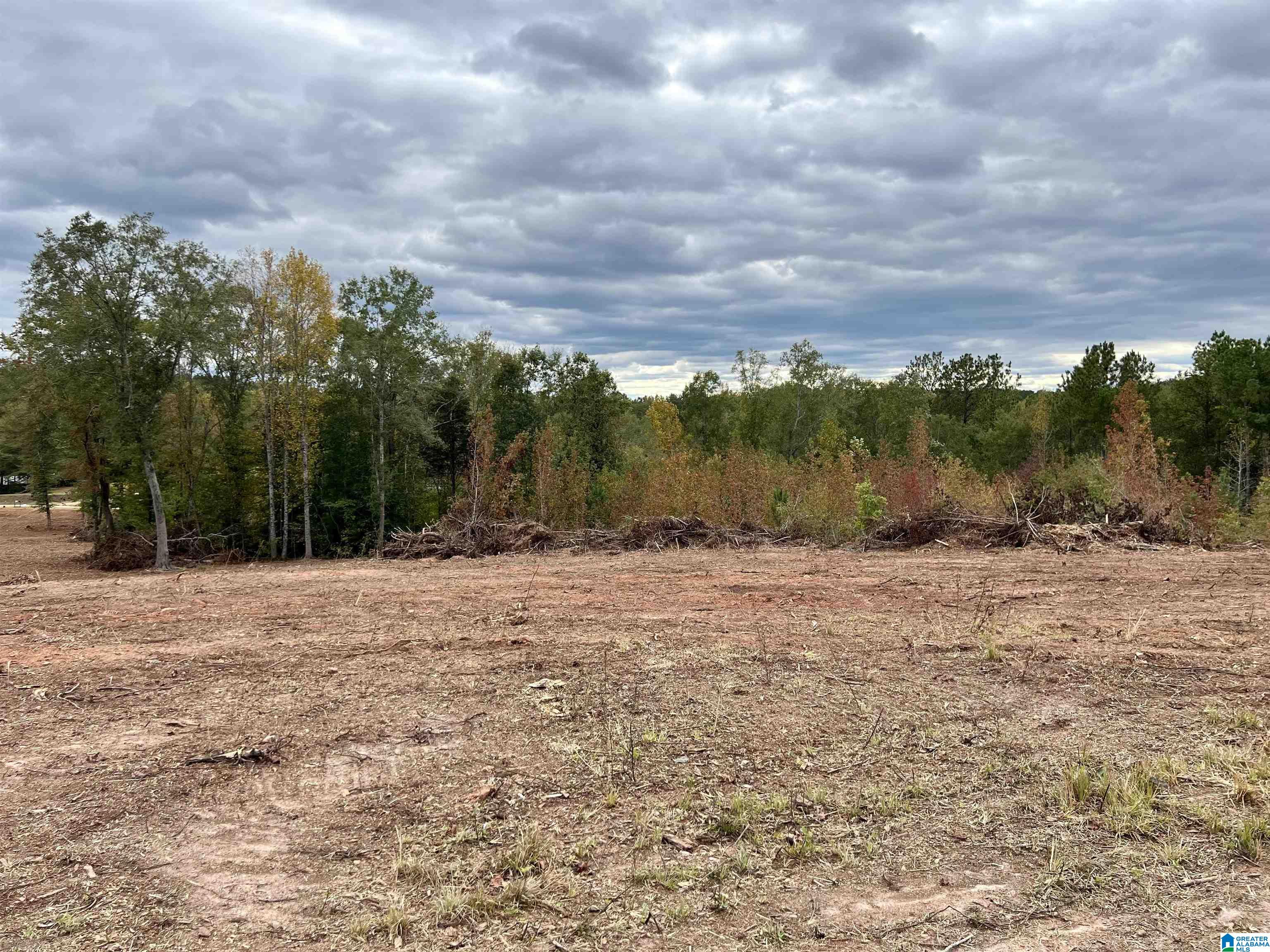 0 County Road 4 Wedowee, AL 36278 - Photo 13 of 24