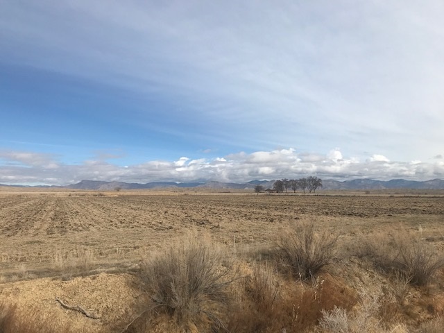 1460 Q Road Loma, CO 81524 - Photo 2 of 2 a view of an ocean