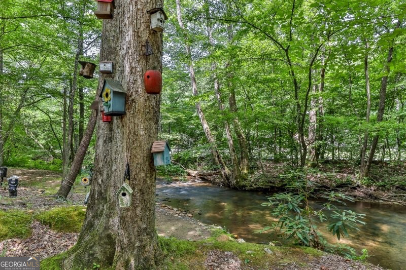 420 Olivers Trail Cherry Log, GA 30522 - Photo 19 of 27 a backyard of a house with lots of green space