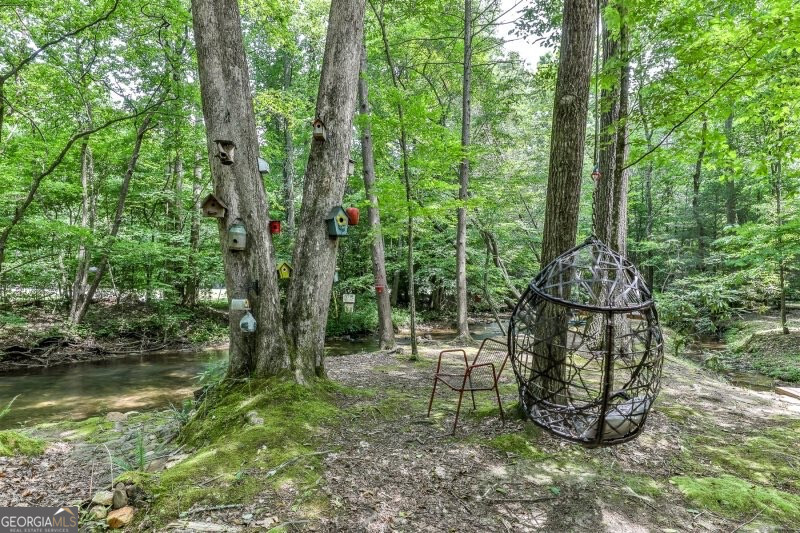 420 Olivers Trail Cherry Log, GA 30522 - Photo 22 of 27 a view of a garden with a fountain